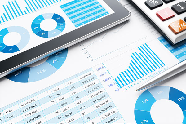 Wealth Manager